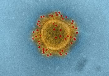 Sicher durch die Pandemie: News zu COVID-19